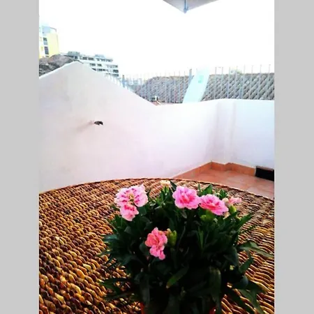 Cozy In The Center With Terrace Cagliari
